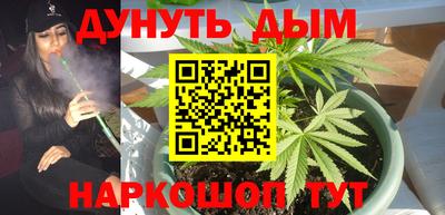 гашик Краснознаменск