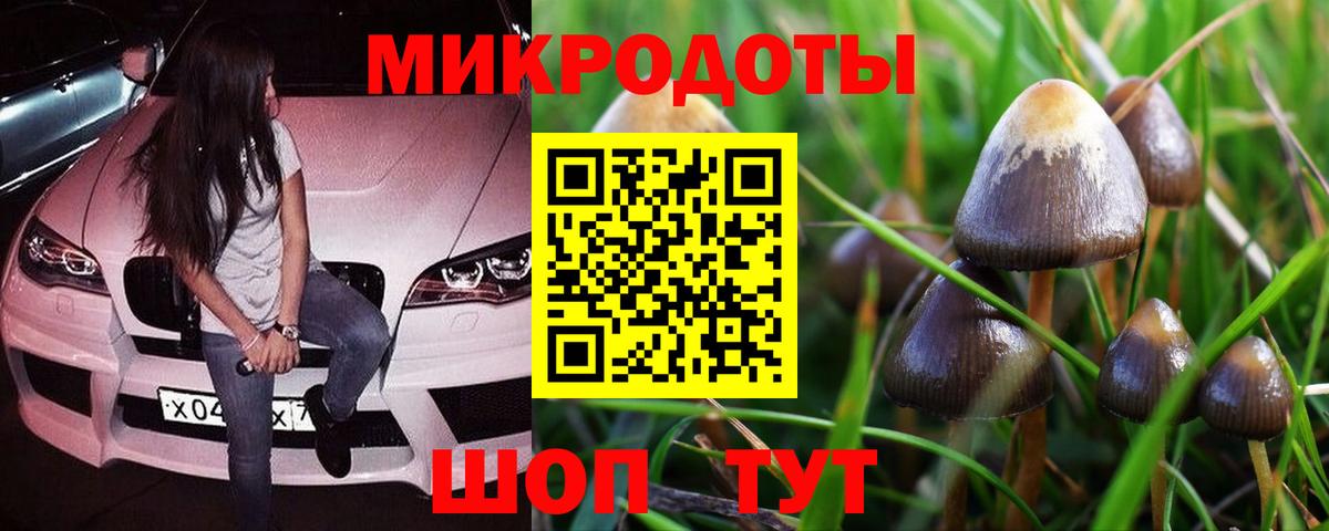 Псилоцибиновые грибы Psilocybine cubensis  Галлюциногенные грибы Psilocybe  Вход с VPN  Ярцево 